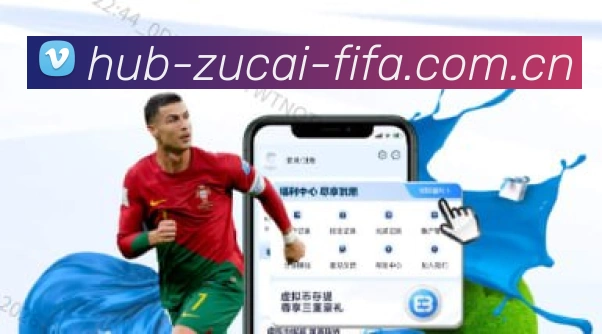 FIFA官方授权证书